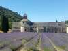 Conciergerie pour voyageurs dans le Luberon Sud